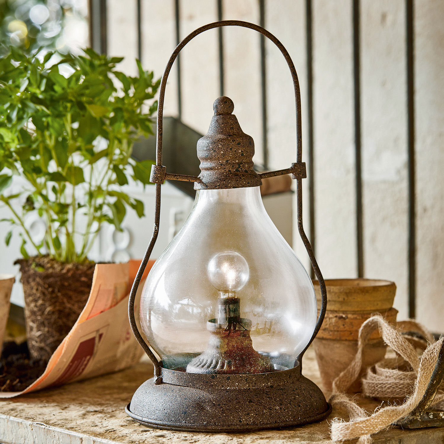 LED lucerna Cortney Rustikální kovová lampa s průhledným skleněným stínidlem a žárovkou na stole s rostlinou