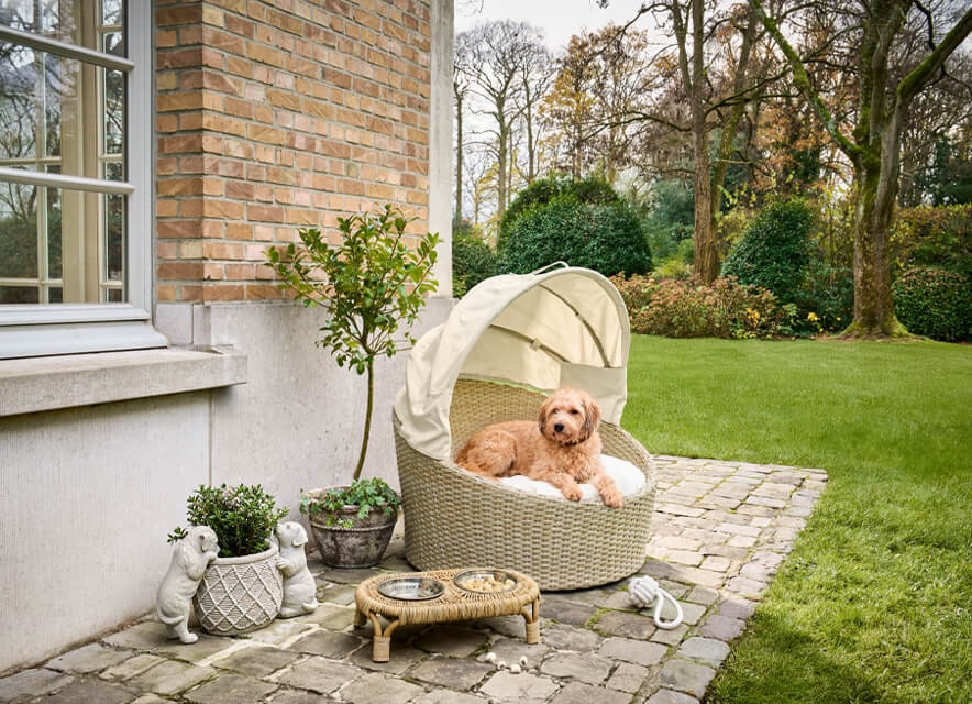 Plážový koš pro vašeho pejska