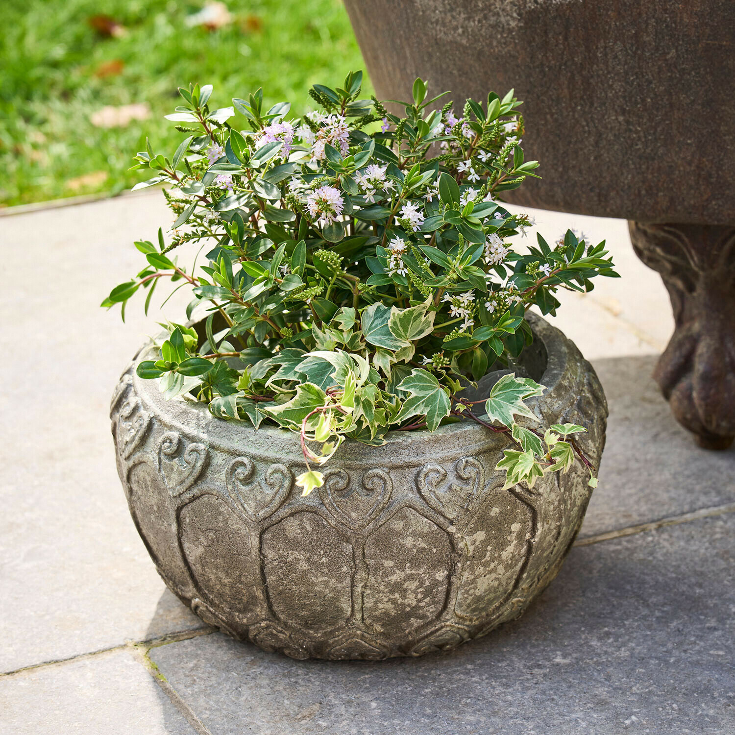 Obal na květináč Sordelia