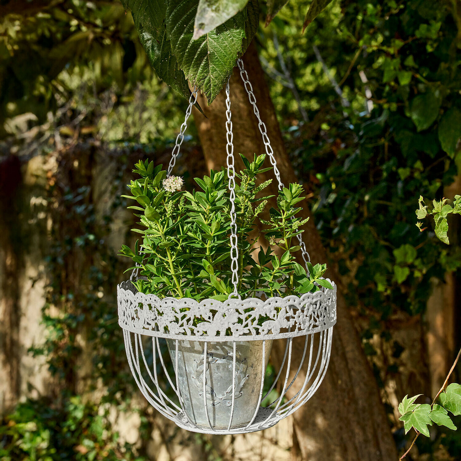 Závěsné košíky, 2dílná sada Iveralia