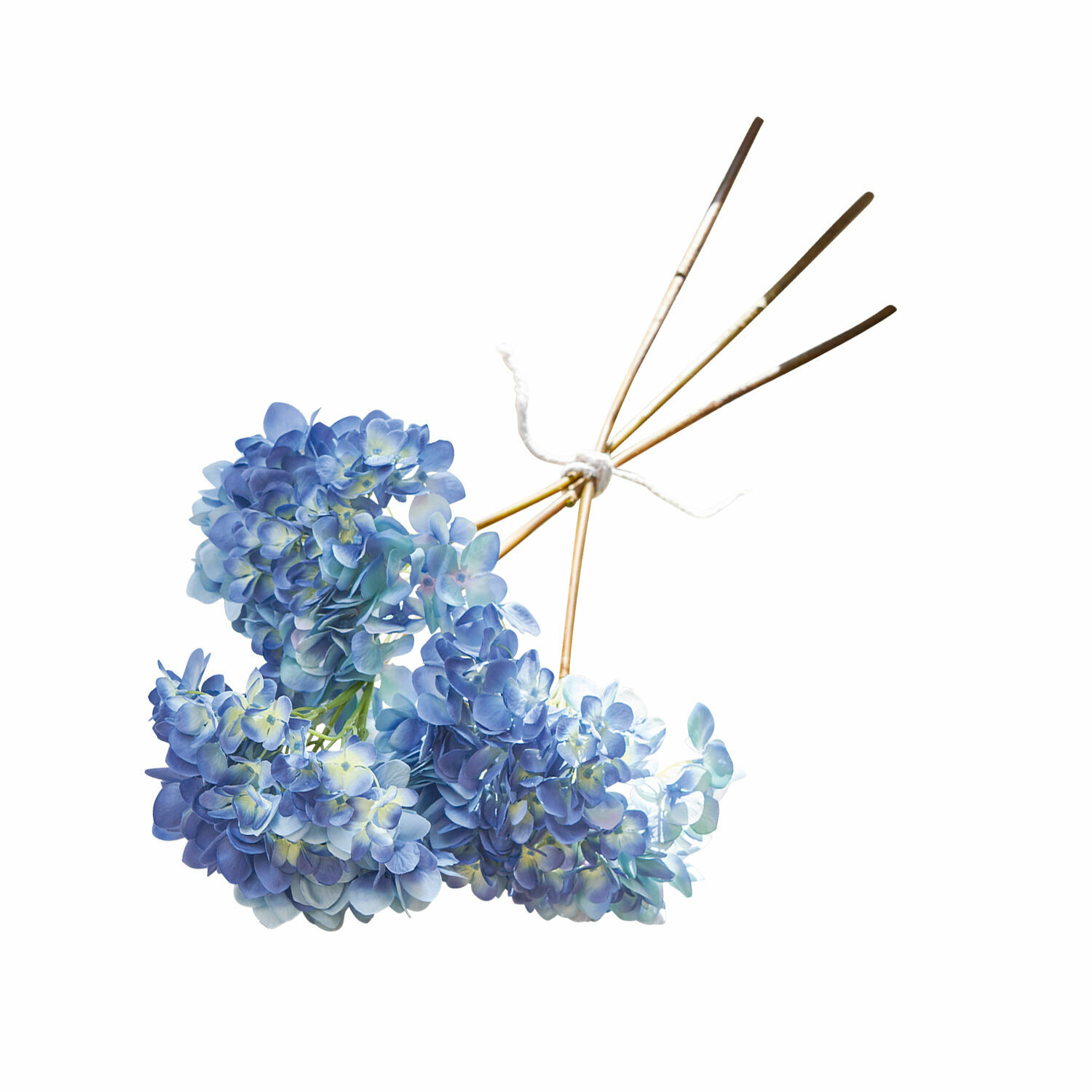 Sada 3 dekorativních květin amarant v modrých a zelených odstínech na bílém pozadí