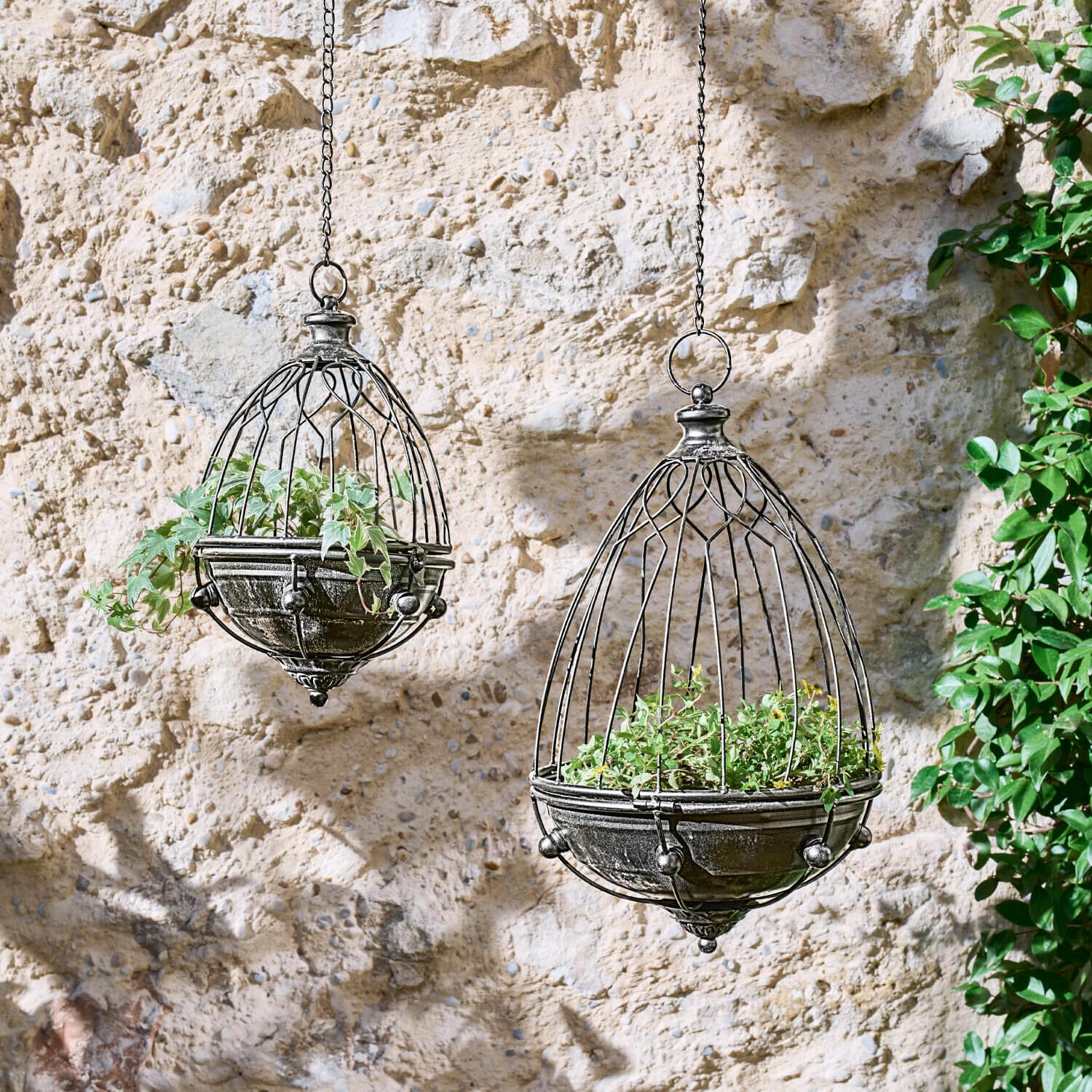 Závěsné kovové květináče ve tvaru klece černé barvy s zelenými rostlinami na kamenné zdi
