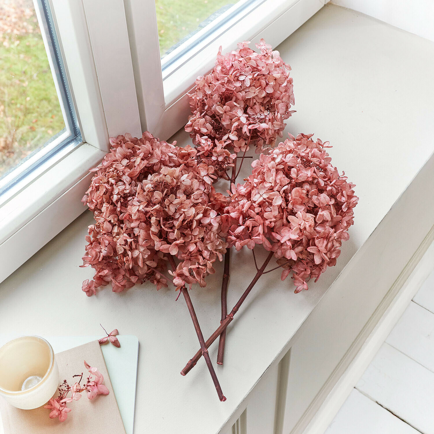 Sušené růžové květy hortenzie na bílém parapetu jako dekorace interiéru