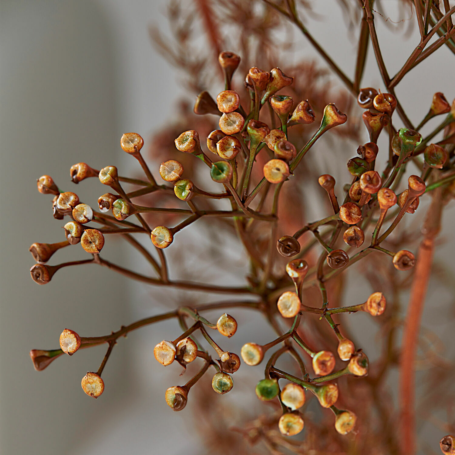 Dekorativní květiny, 4dílná sada Jennings