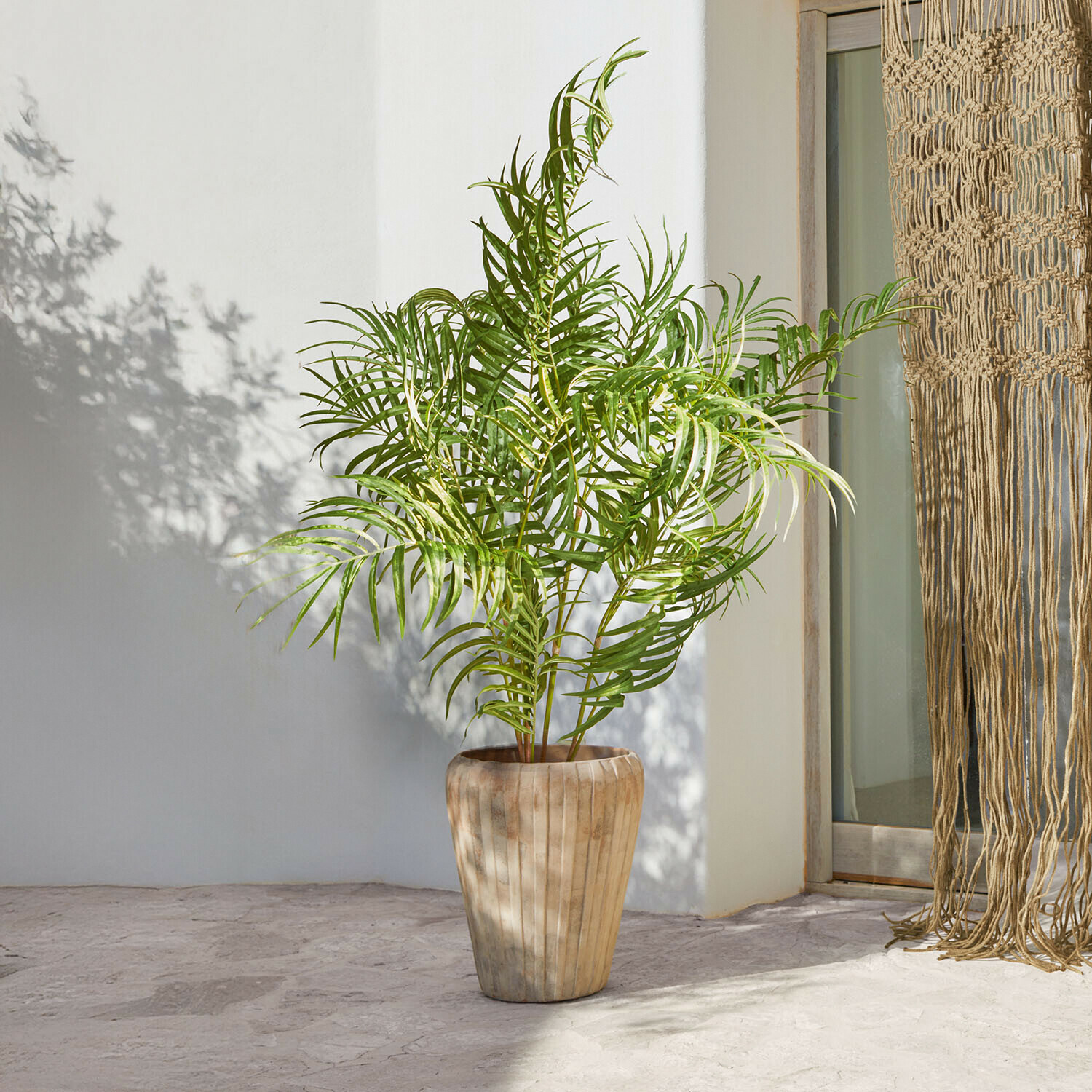 Vysoký dřevěný květináč v přírodní barvě se zelenou palmou na světlém pozadí