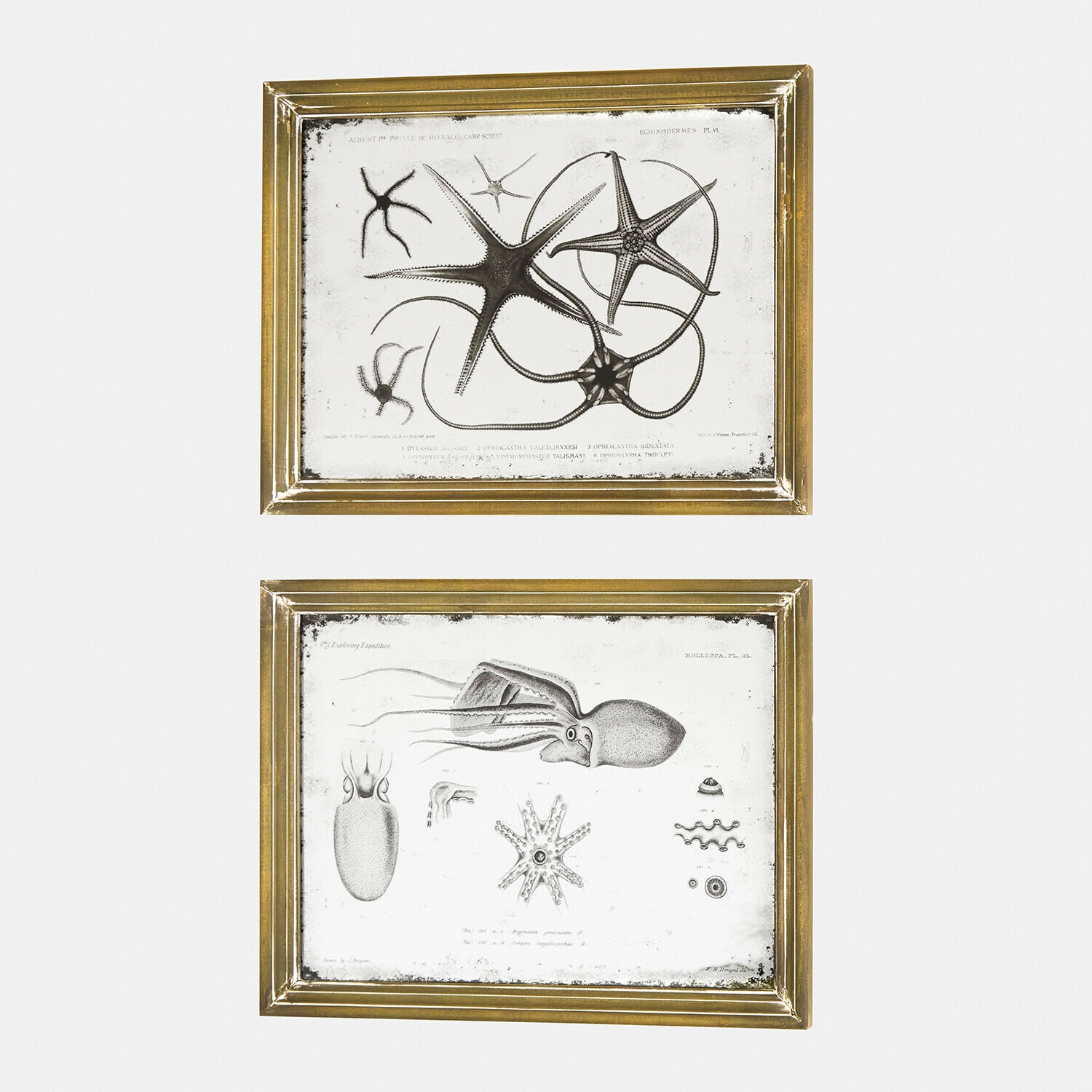 Zrcadla s motivem, 2dílná sada Marivelles