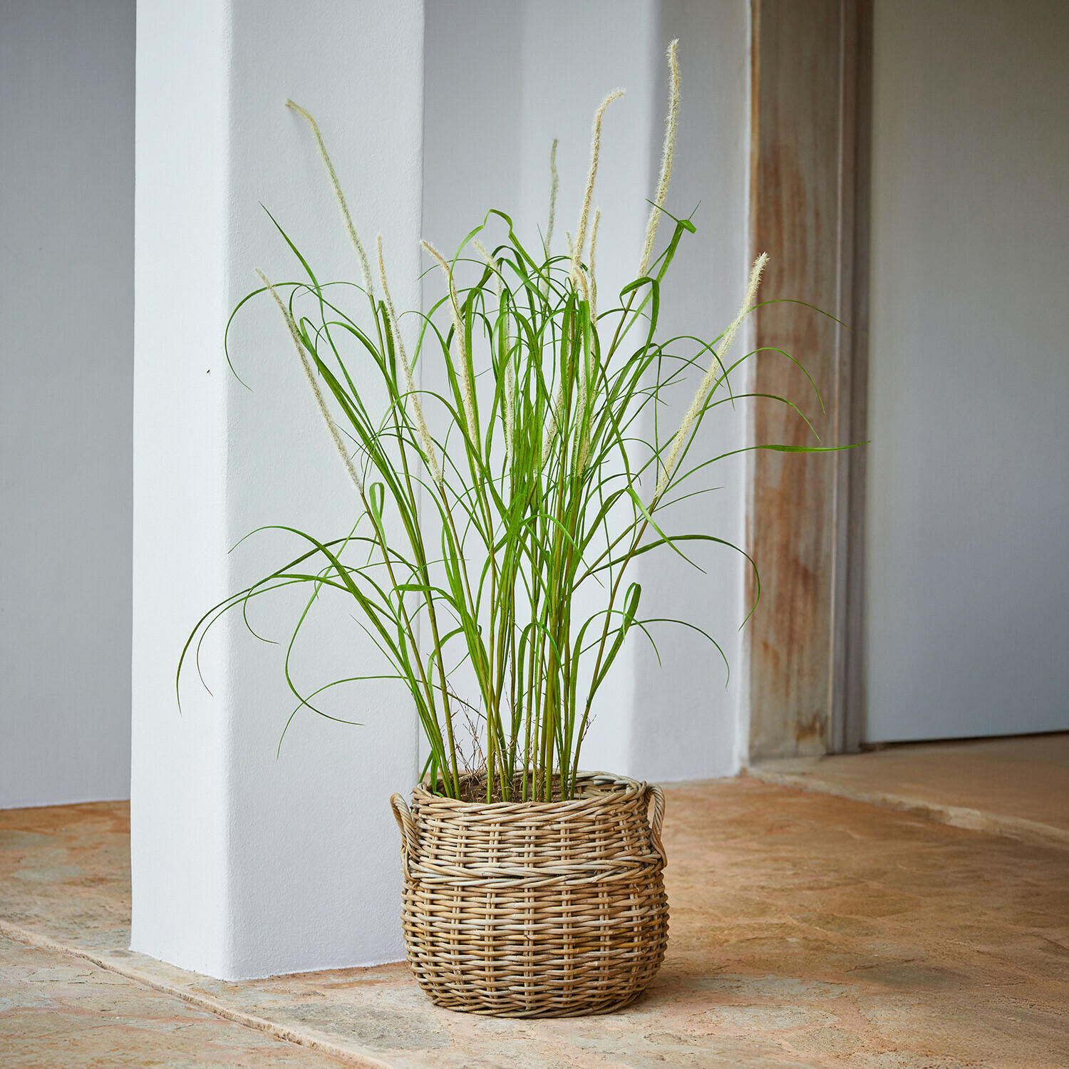 Zelená ozdobná tráva v proutěném koši na kamenné podlaze, interiérová dekorace