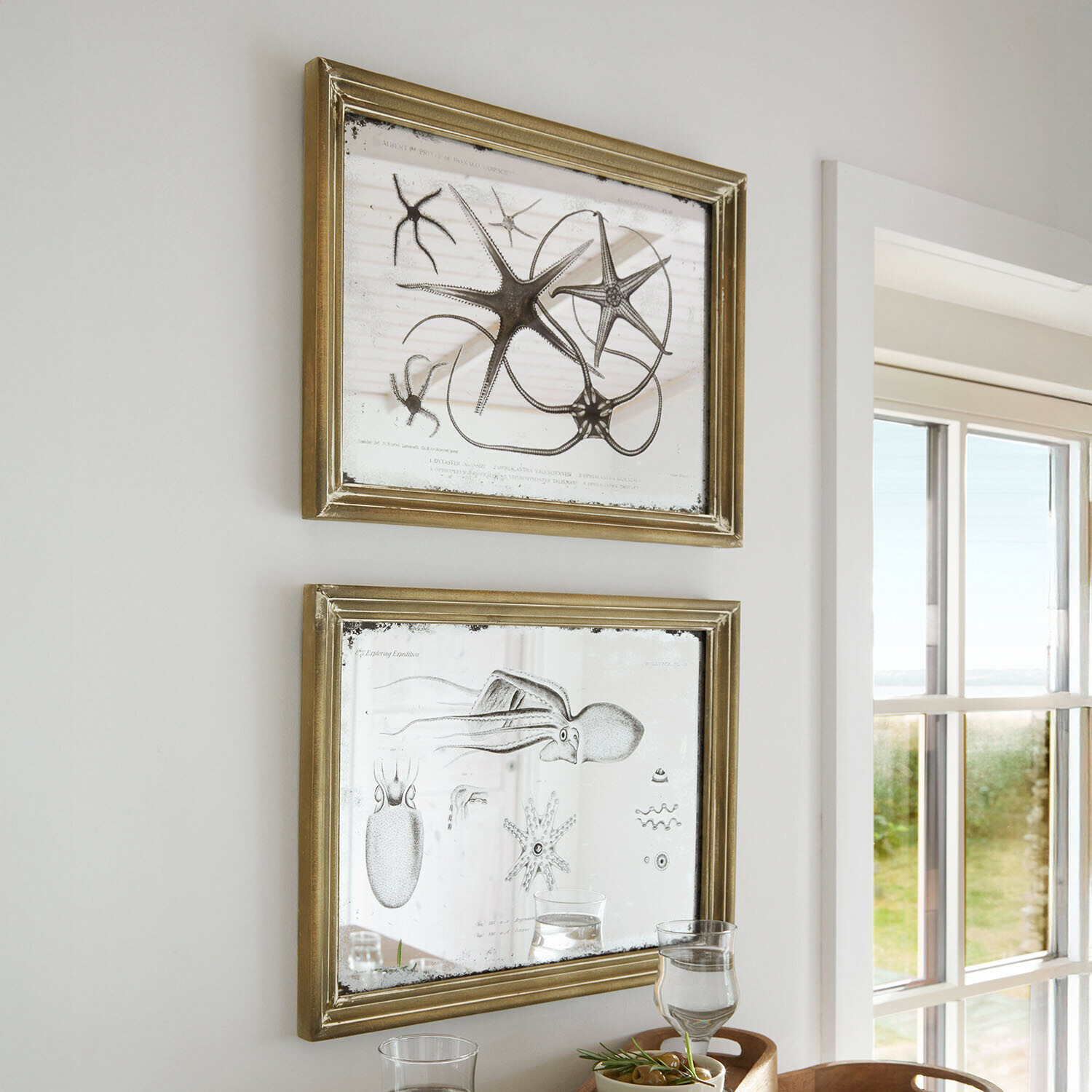 Dva zlaté rámy se zrcadlem a grafikou mořských živočichů, nástěnná dekorace v světlé místnosti