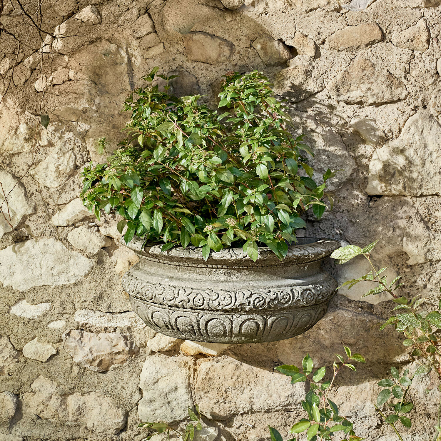 Dekorativní betonový závěsný květináč se zelenými listy na kamenné zdi, zahradní dekorace