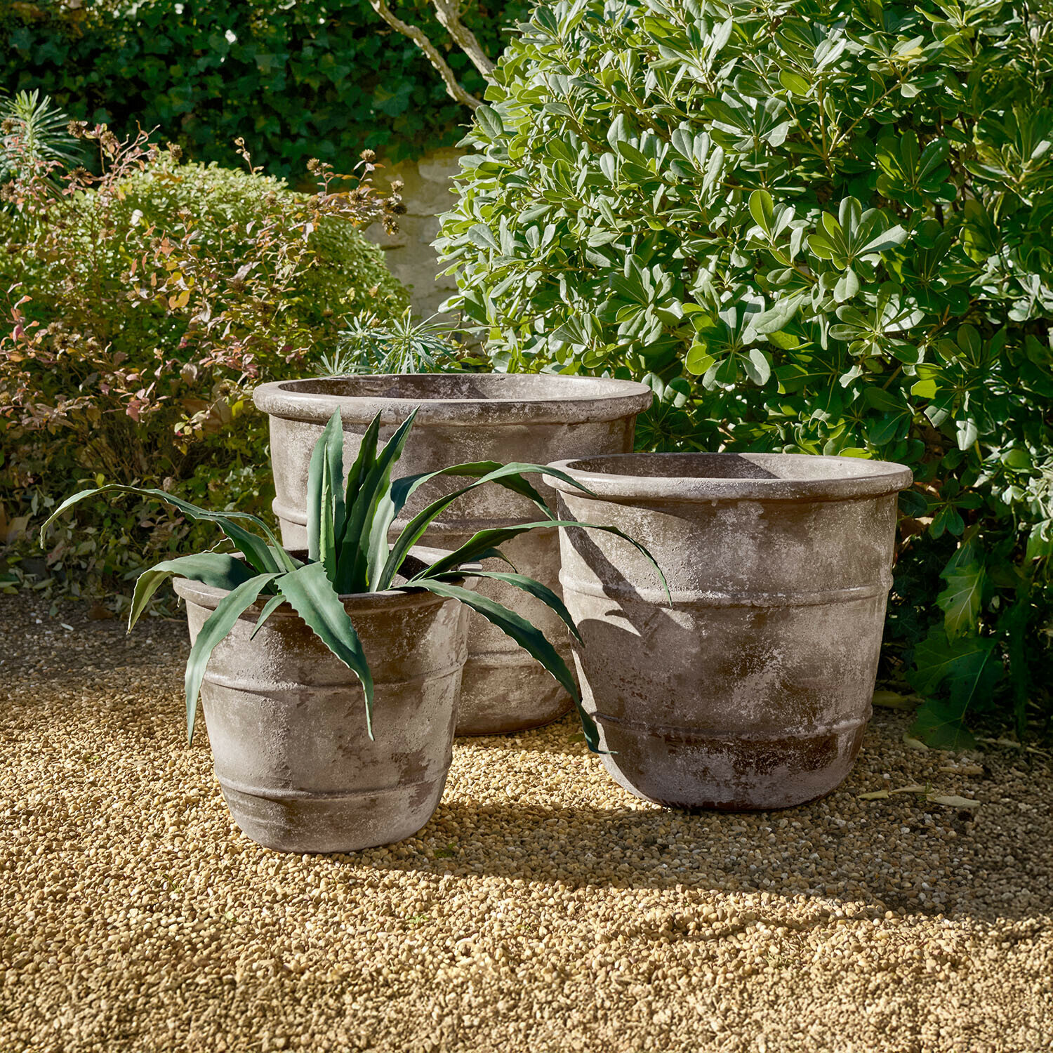 Tři velké šedé kamenné květináče na štěrkovém povrchu v zahradě se zelenými rostlinami