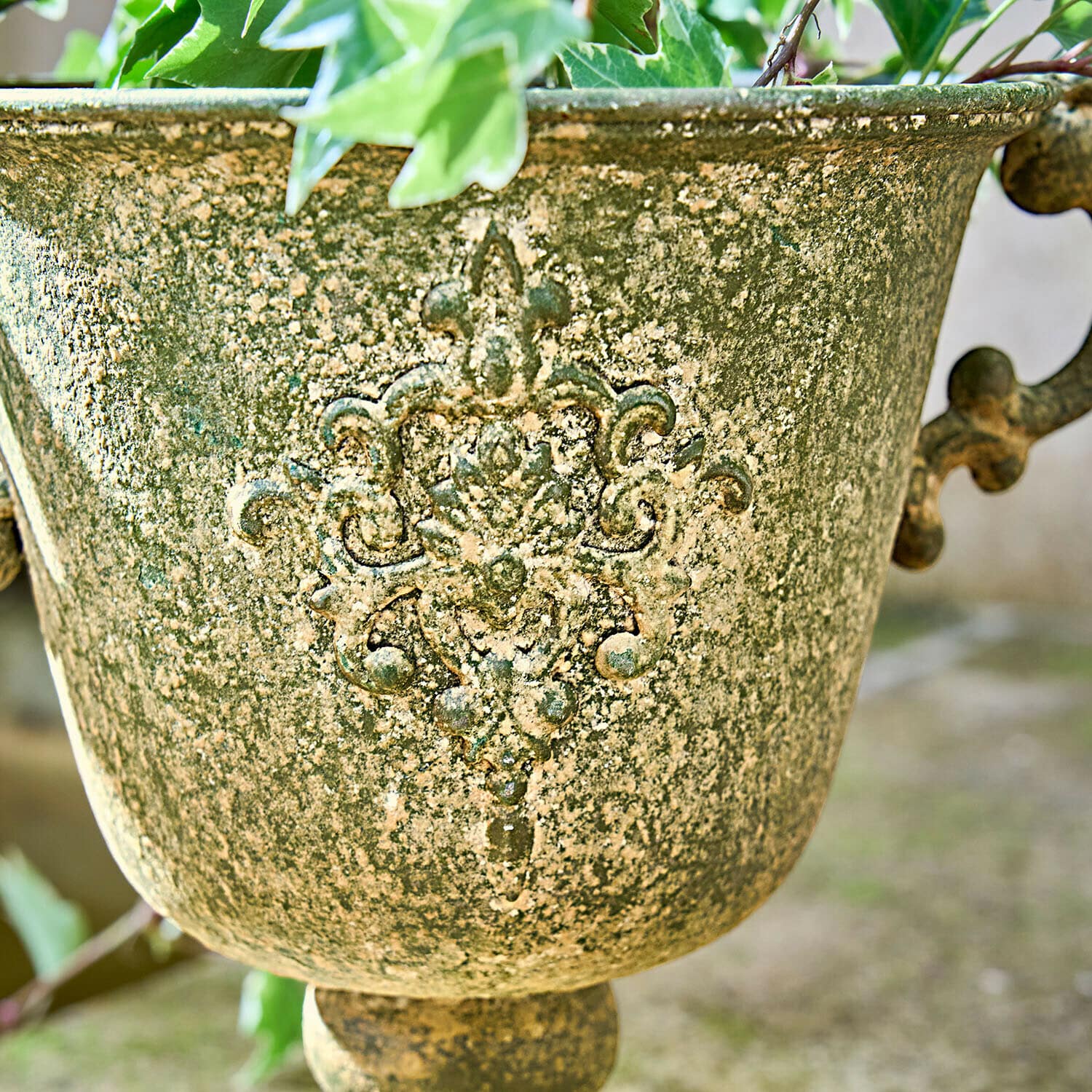Amfora Ivyridge