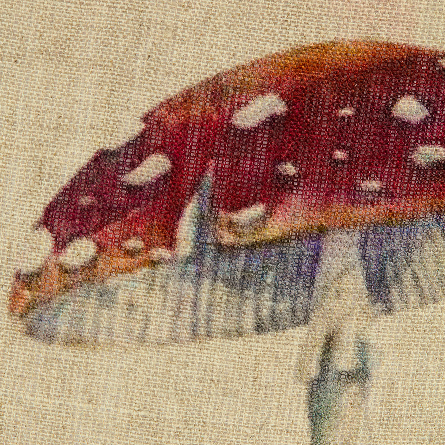 Povlak na polštářek Selarune