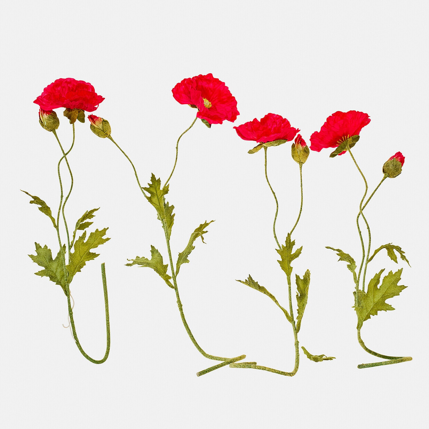 Dekorativní květiny, 4dílná sada Doravela