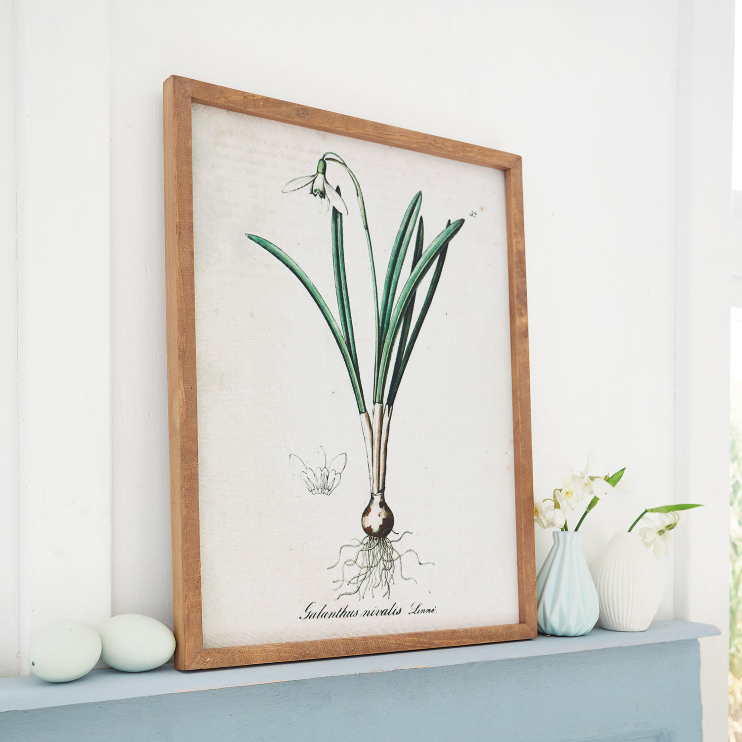 Botanický obraz sněženky v dřevěném rámu na modré dekorativní polici