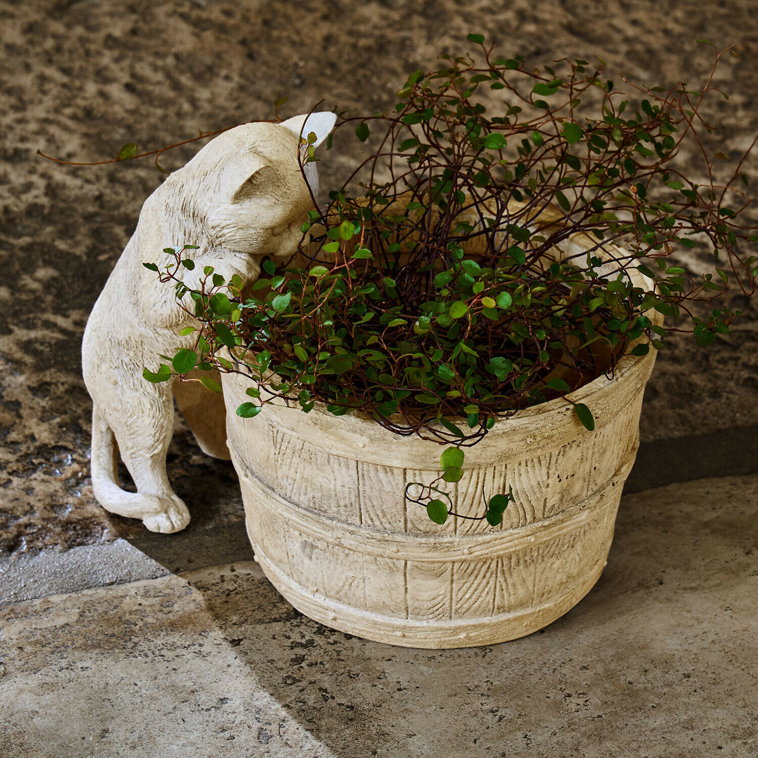 Světle kamenný květináč s zelenou rostlinou a béžovou soškou kočky na kamenné podlaze