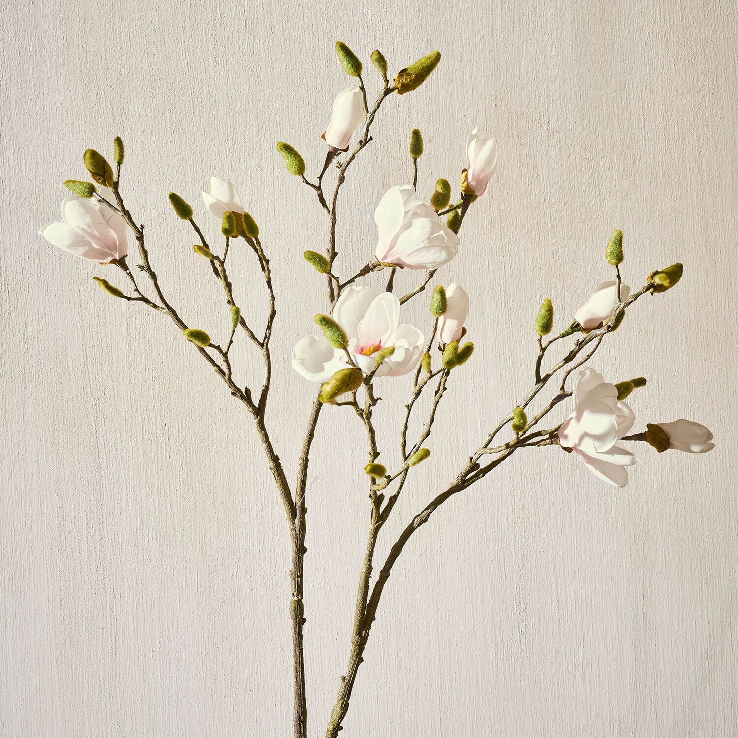 Dekorativní květiny, 2dílná sada Aurélines