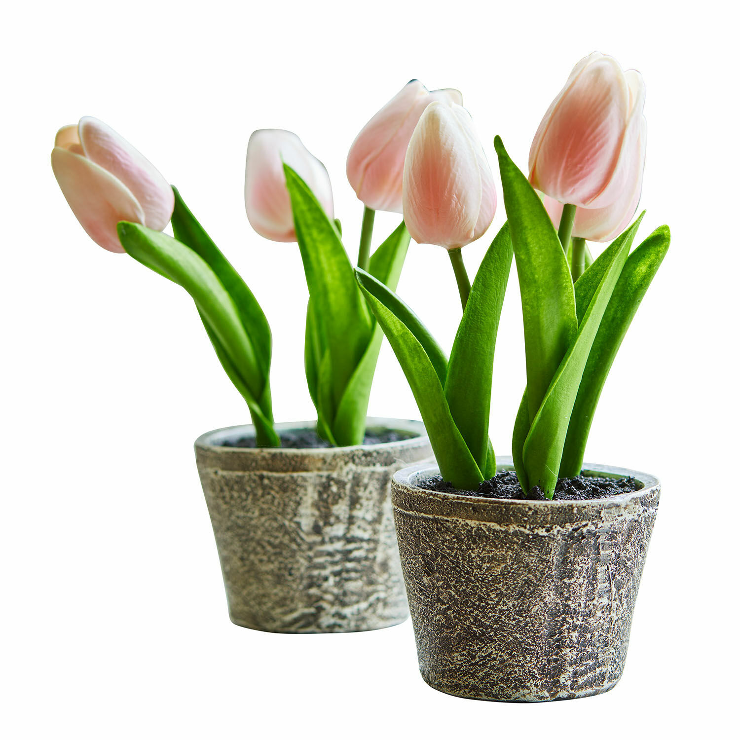 Dekorační tulipány, 2dílná sada Zéphine