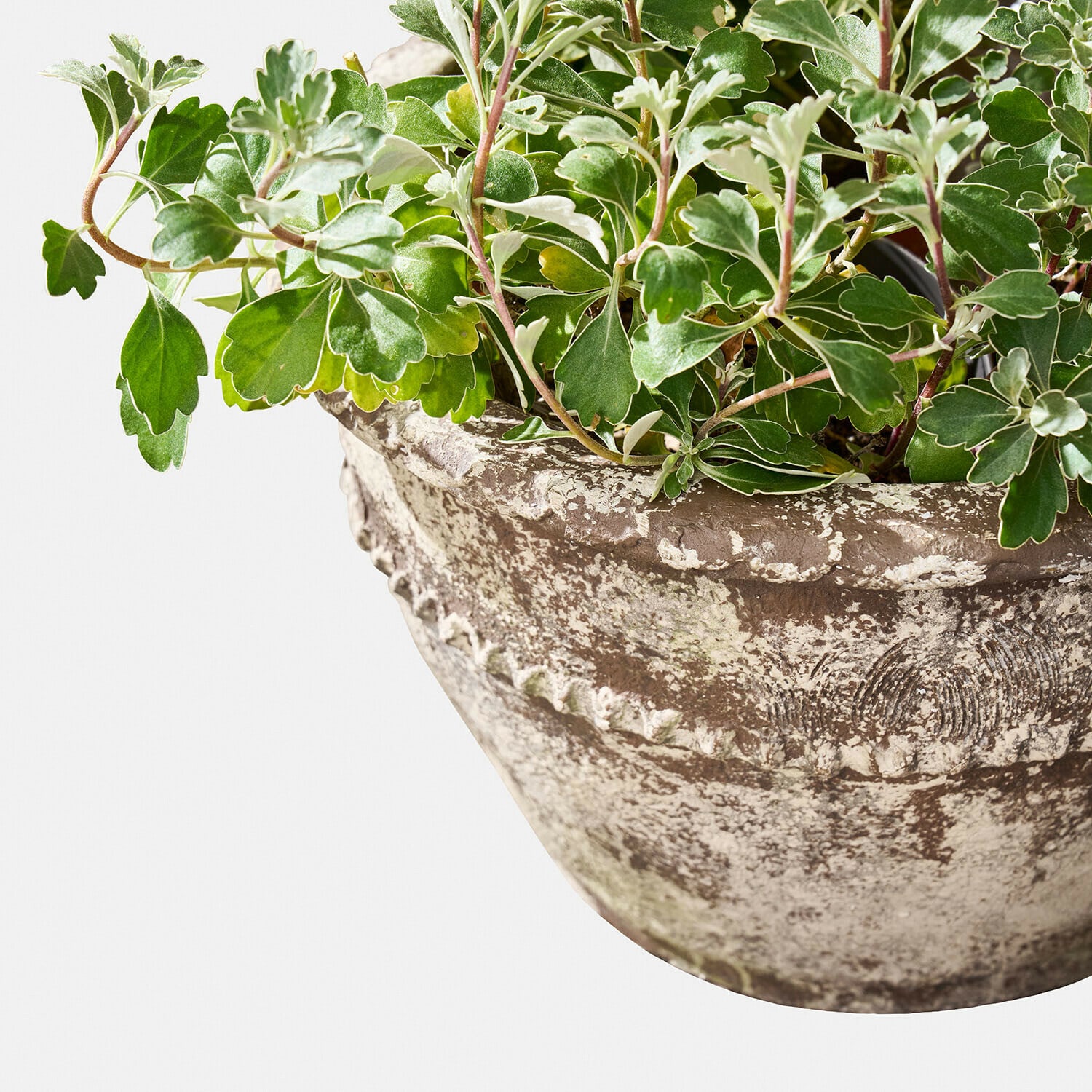 Obaly na květináč, 2dílná sada Montérise