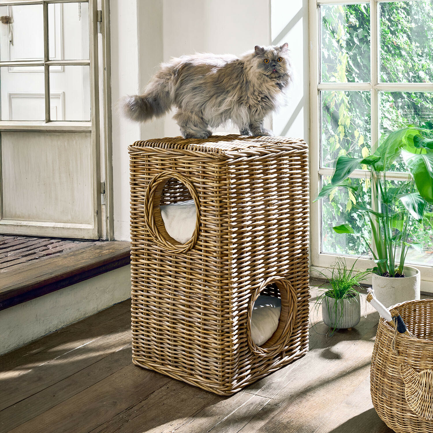 Dvoupatrový kočičí dům z přírodního ratanu s polštáři, na vrchu šedá dlouhosrstá kočka