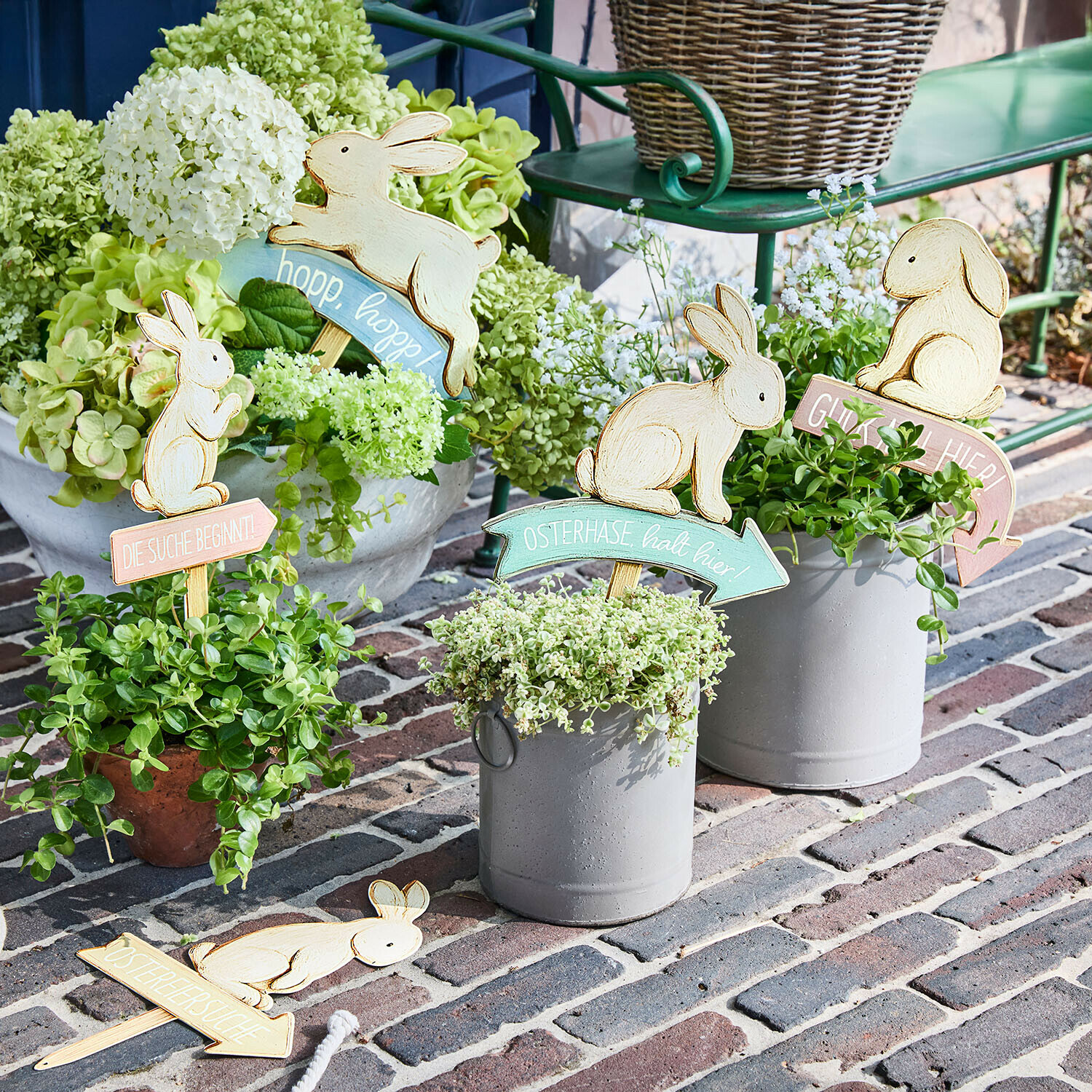 Cedulky, 5dílná sada Shevona