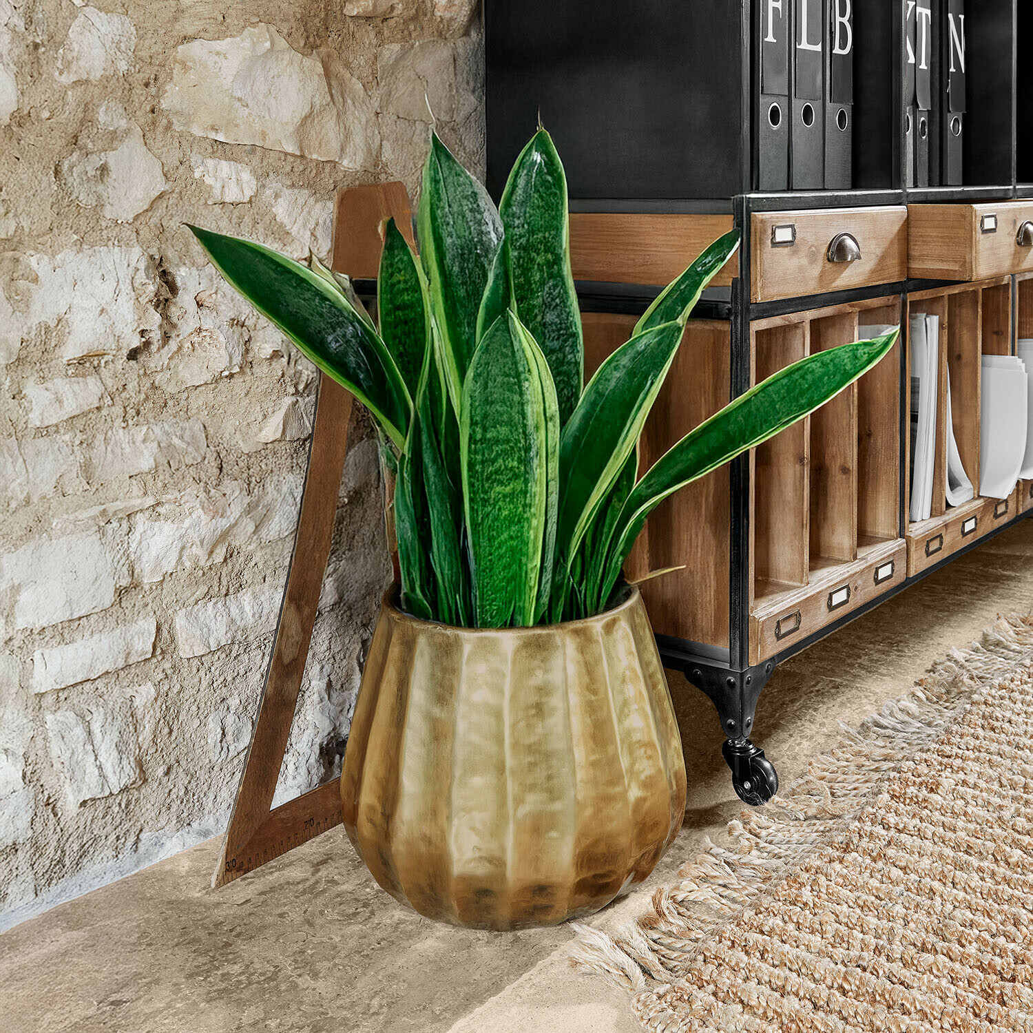 Pokojová rostlina v hnědém keramickém květináči vedle dřevěné skříně s kovovými prvky