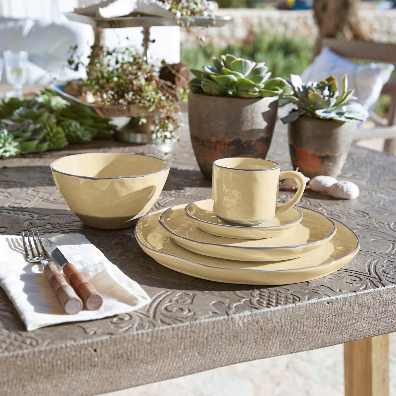 Sada keramického nádobí krémové barvy s modrým okrajem na rustikálním stole s dekorací sukulentů