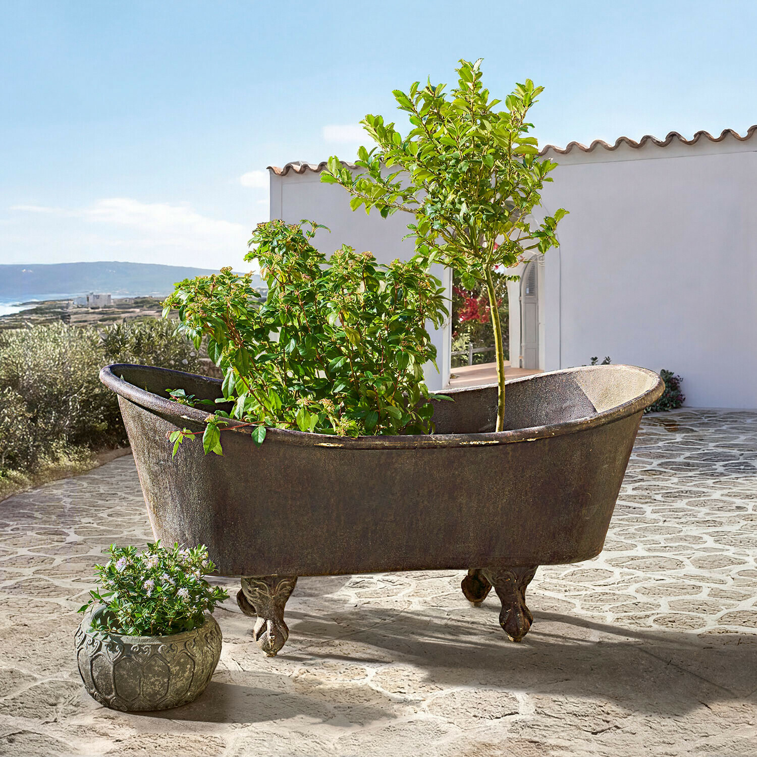 Starý litinový vana s ozdobnými nohami sloužící jako květináč s zelenými rostlinami na terase