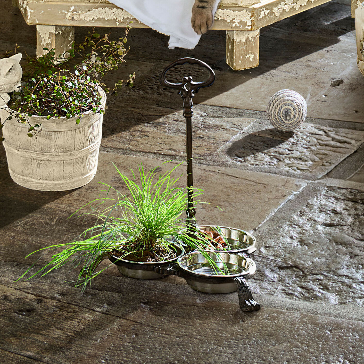 Dvojitá kovová miska na krmivo se stříbrným držadlem na kamenné podlaze vedle zelené rostliny