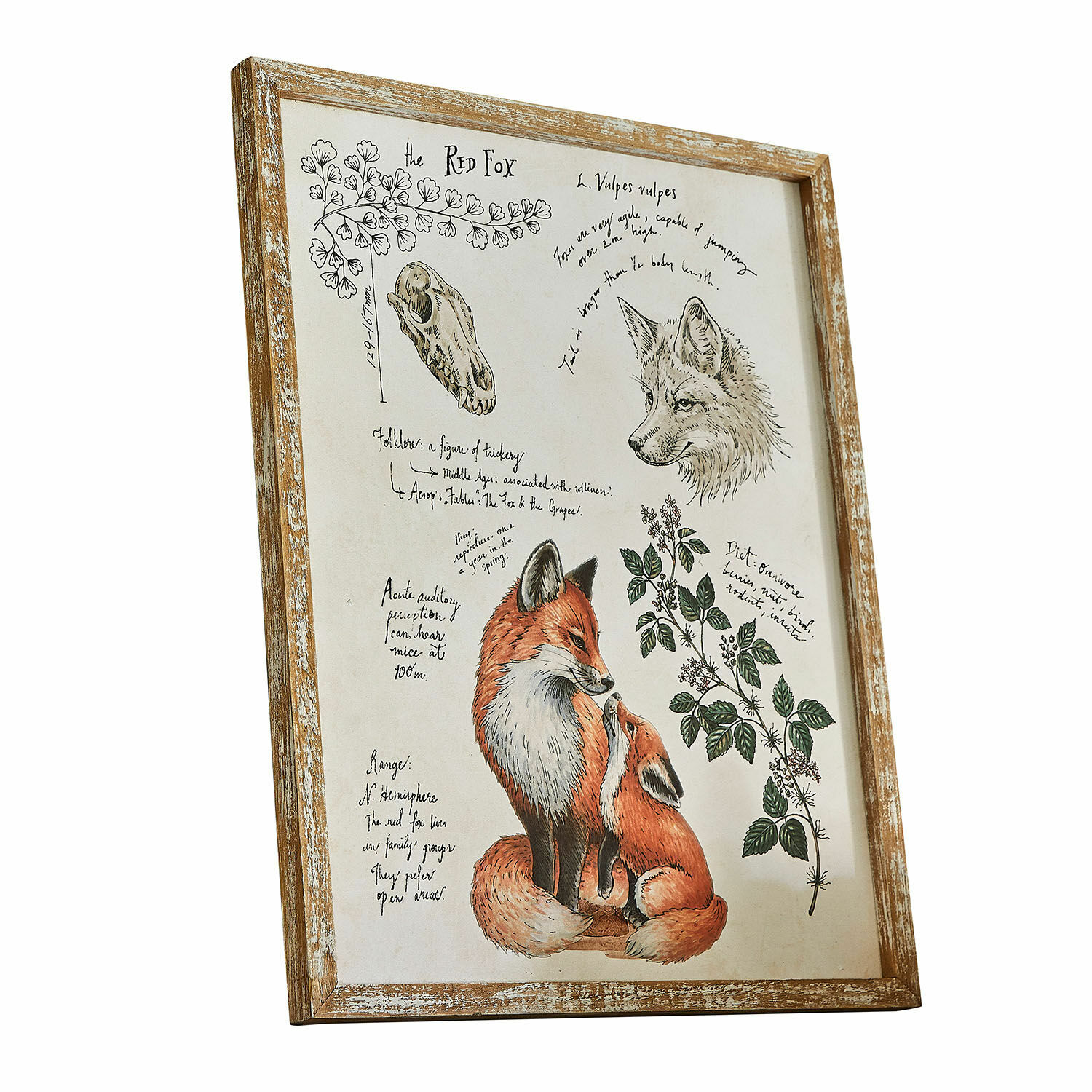 Dekorační tabule Survie Obraz s ilustrací lišky a lebky v dřevěném rámu, přírodní nástěnná dekorace