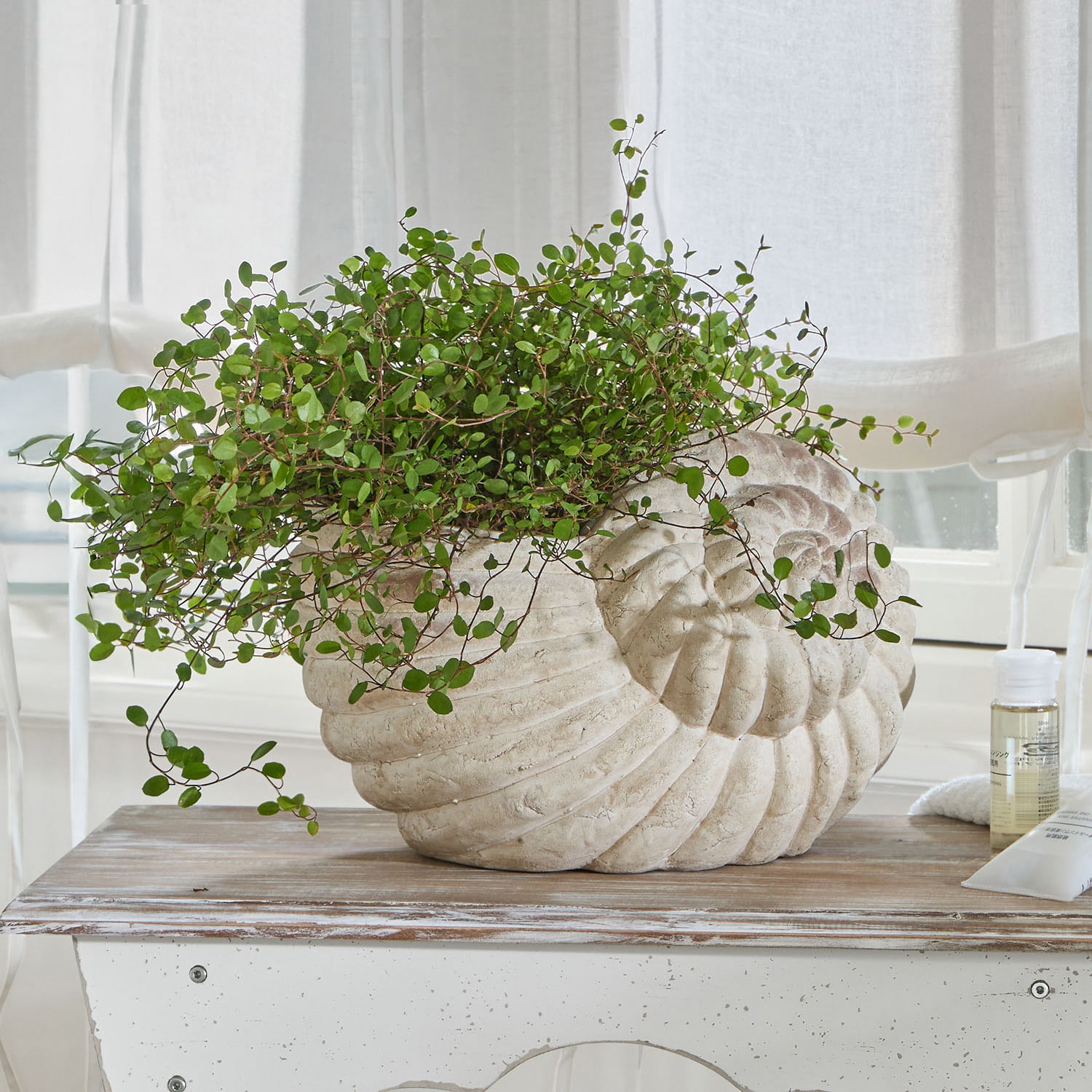 Obaly na květináče