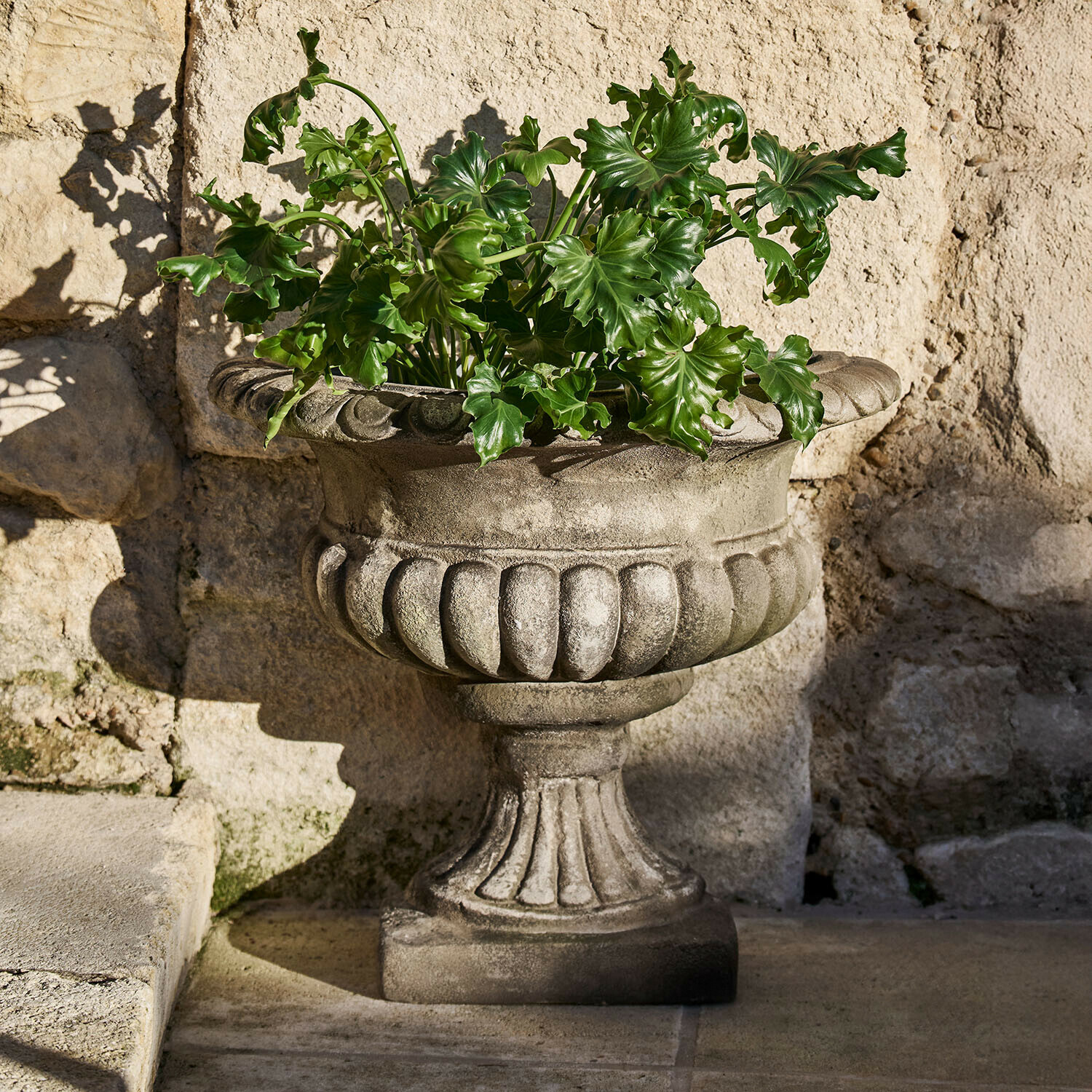 Dekorativní šedá kamenná květináč s zelenými listy na pozadí kamenné zdi