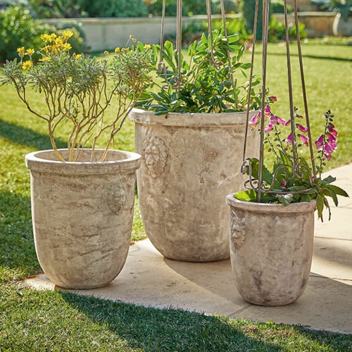 Tři šedé cementové květináče ve stylu shabby chic s rostlinami na zahradě