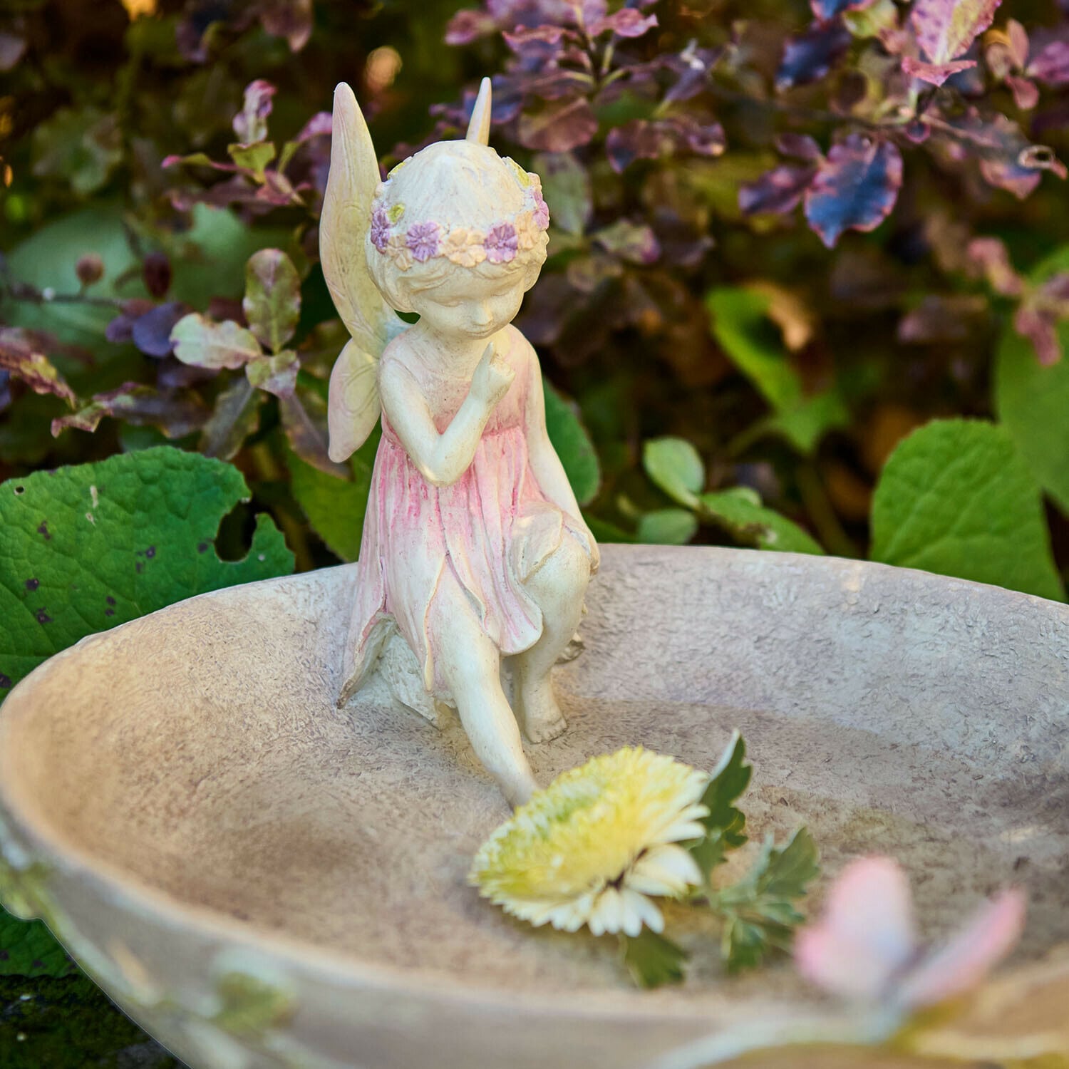 Ptačí pítko Finnedra