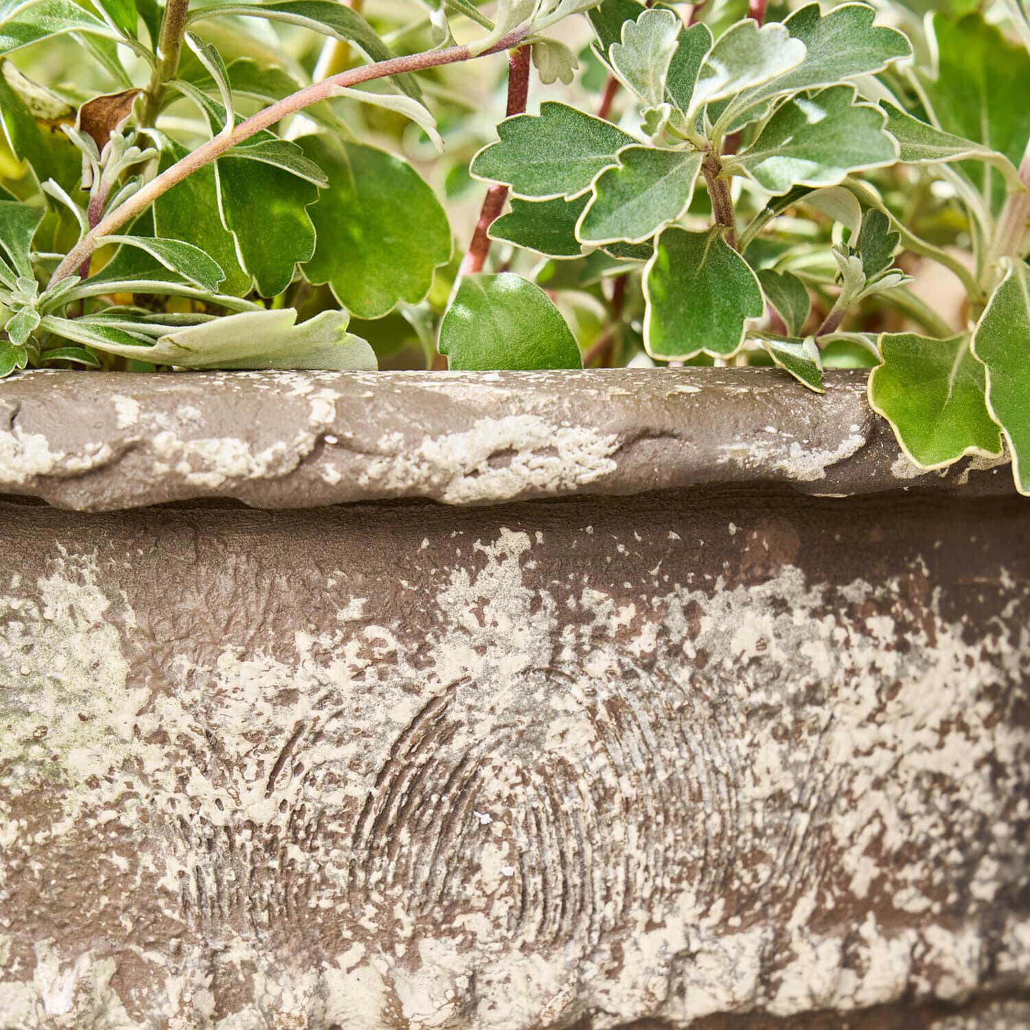 Obaly na květináč, 2dílná sada Montérise