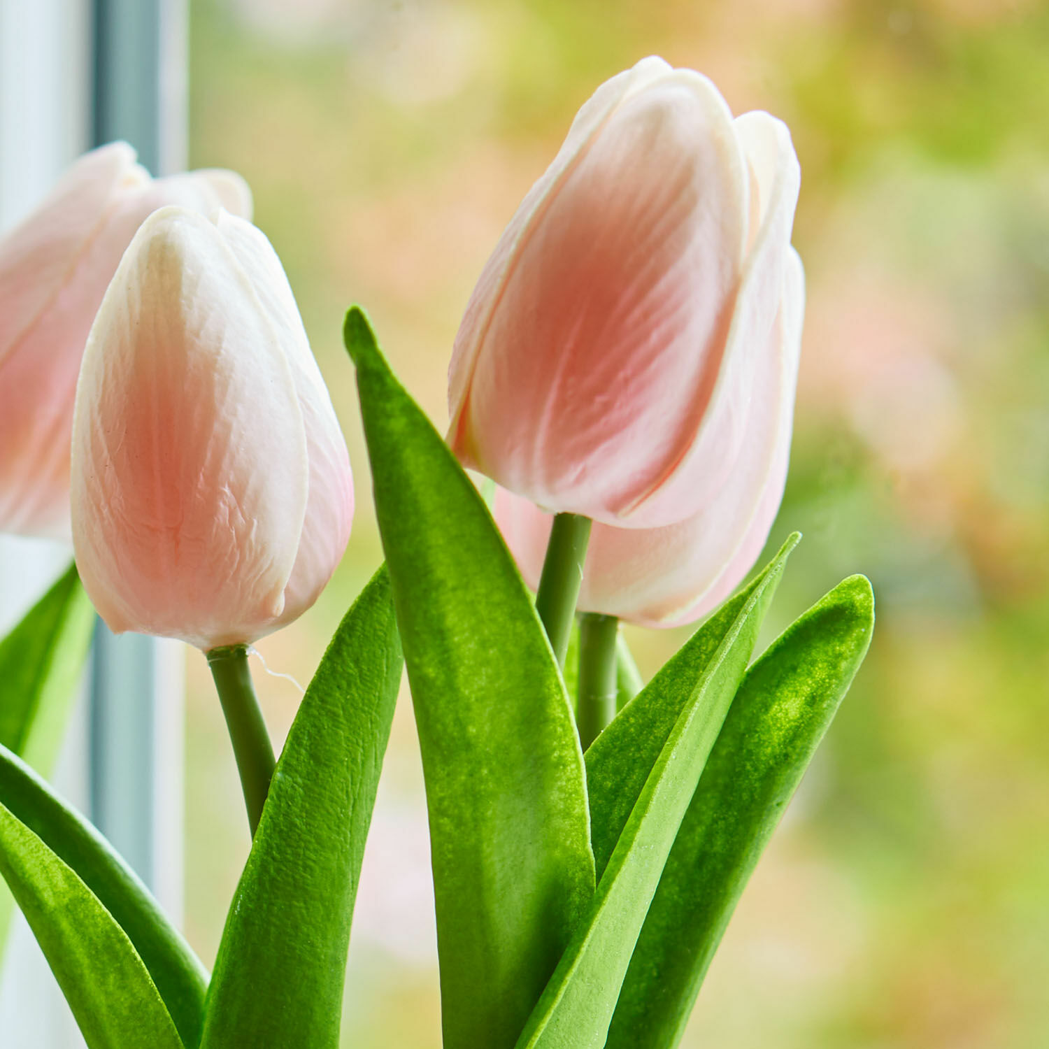 Dekorační tulipány, 2dílná sada Zéphine