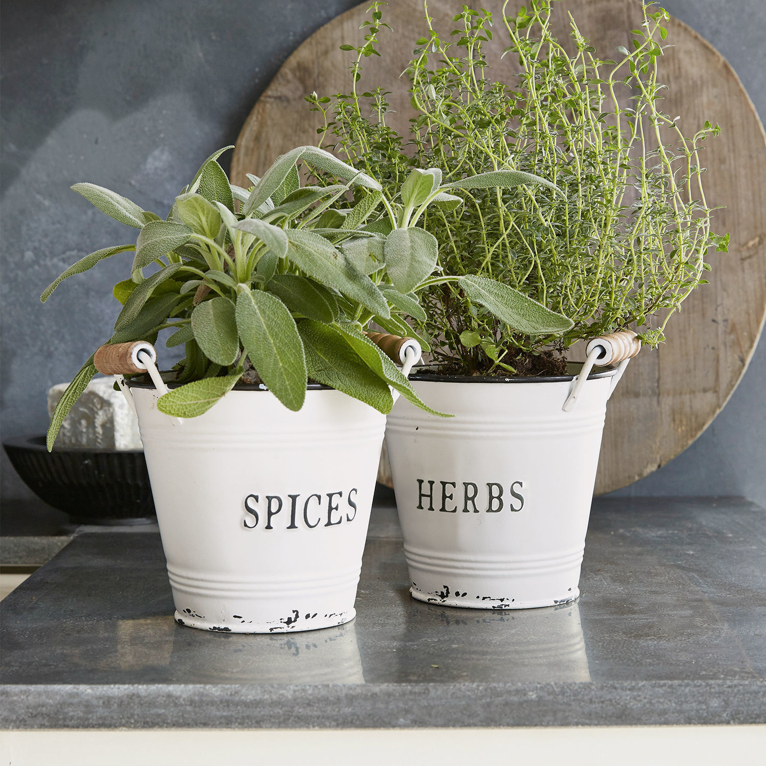 Obal na květináč, 2dílná sada Trevis Bílé kovové květináče s nápisy Spices a Herbs s zelenými bylinkami na kuchyňské lince