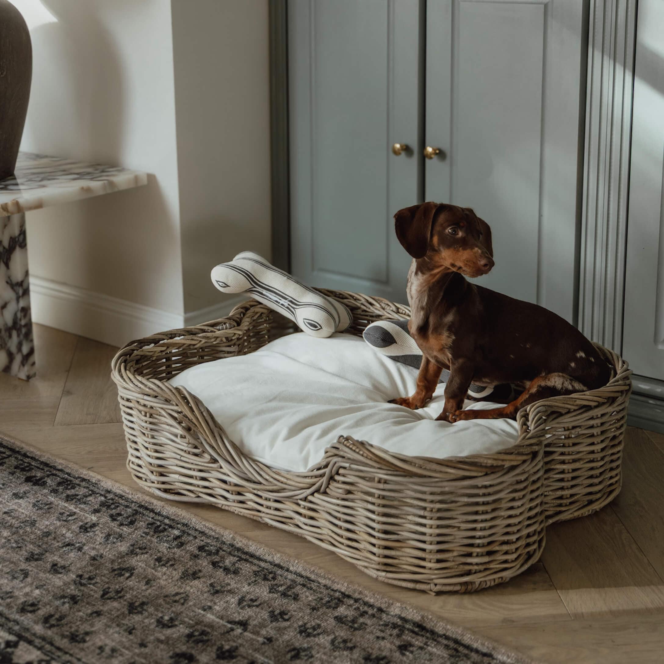 Výbavička pro jezevčíka